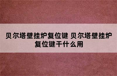 贝尔塔壁挂炉复位键 贝尔塔壁挂炉复位键干什么用